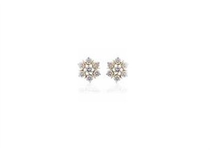 Rhodium Plated | Fashion Earrings